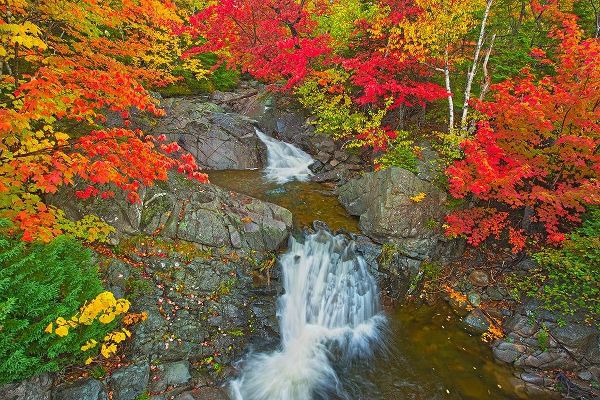 Canada-Nova Scotia-Cape Breton Island Morrison Brook and forest in autumn foliage
